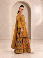Radiant Mustard Chiffon Sharara Set with Patola Print